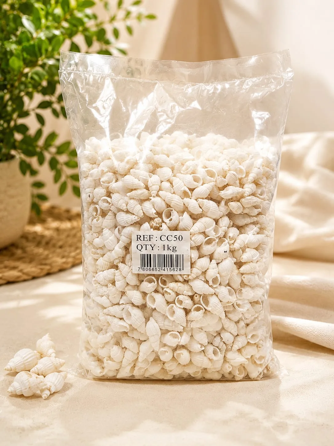 Conchitas de Mar o Pure Blanco (Caracol)