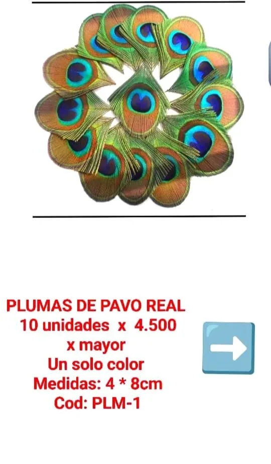 Plumas de Pavo Real - grande