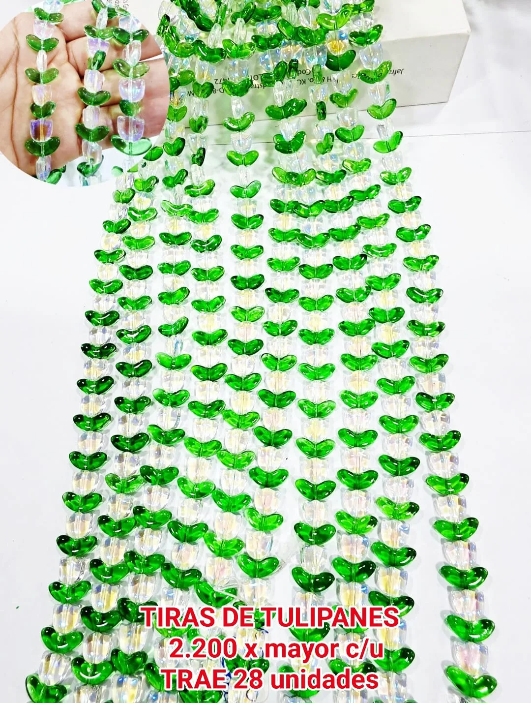 Tiras de Tulipanes - Verde con transparente iridiscente