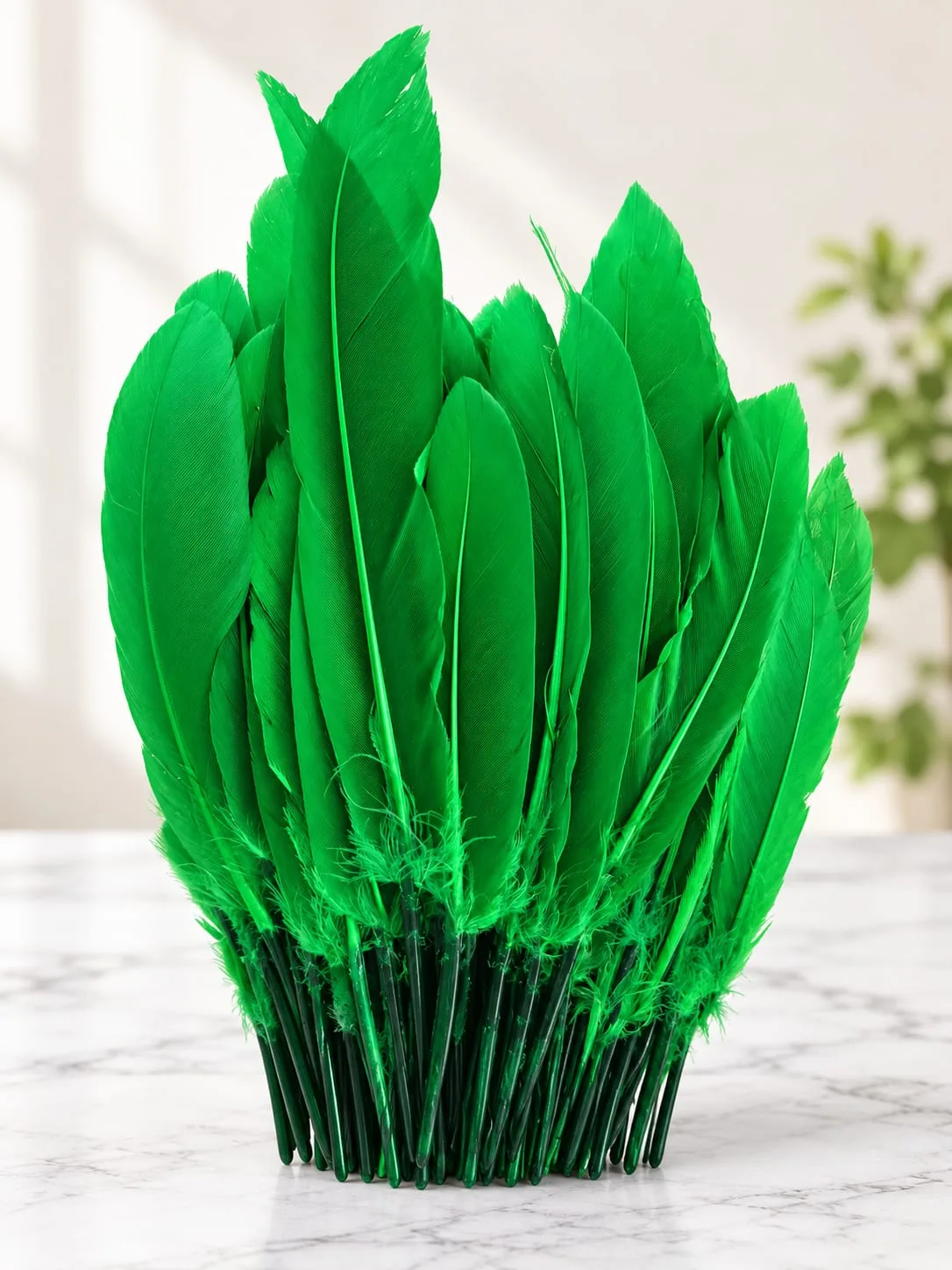 Plumas Lisas Verdes